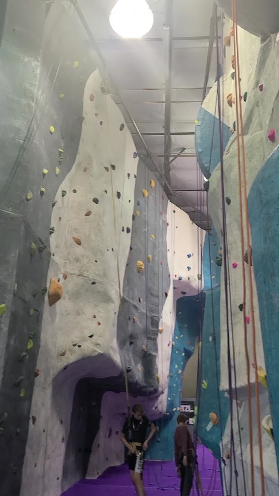  Ape Index Rock Climbing Gym