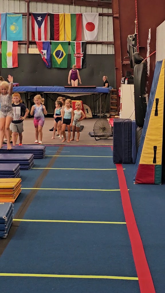  Elite World Gymnastics