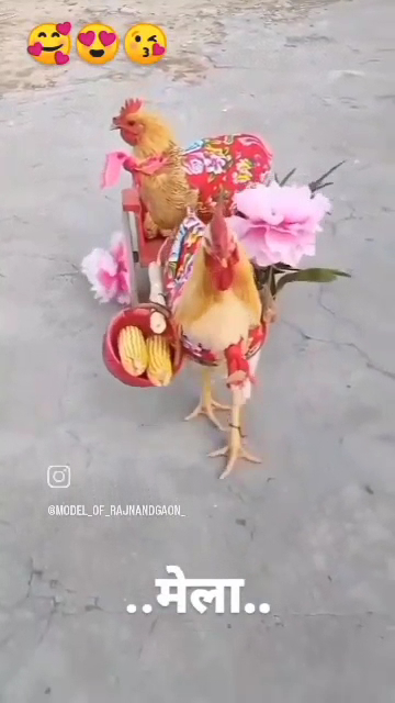  Basecamp Fitness Schererville