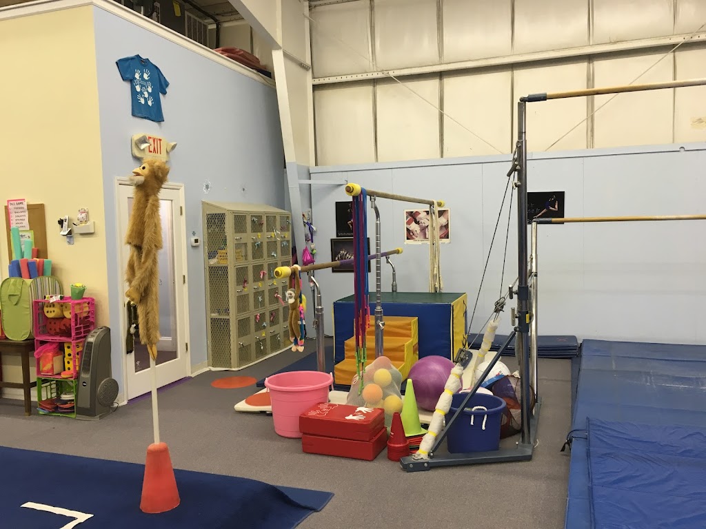  Acrosport Gymnastics