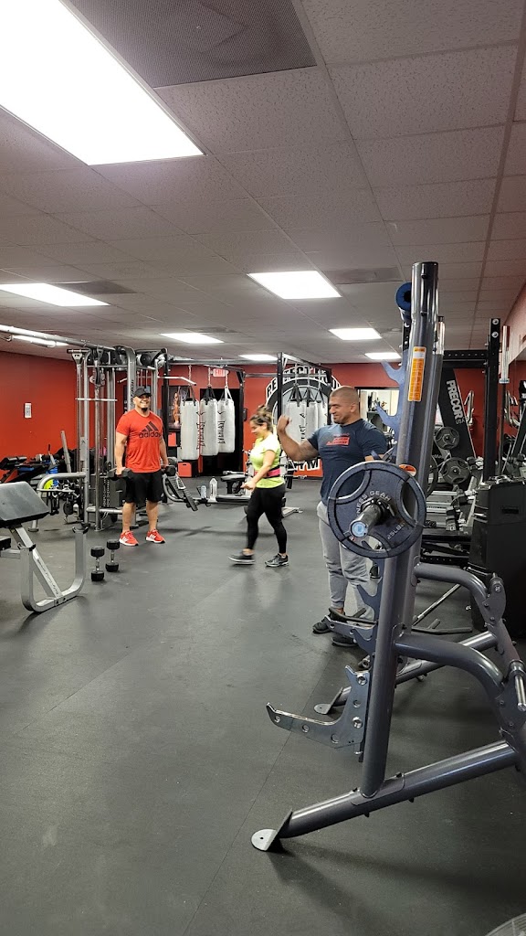  The Perfect Body Studio