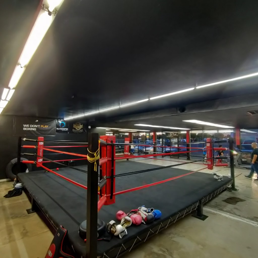  Cayuga Boxing Club