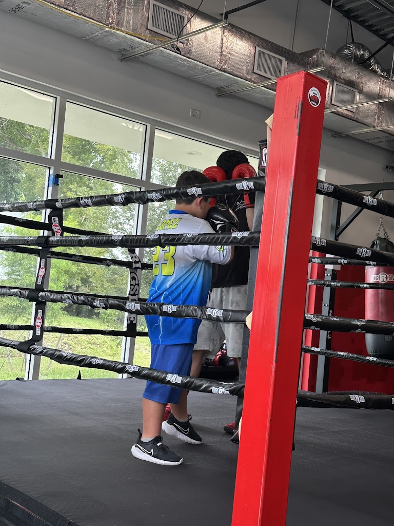  The Sweet Science Boxing Fitness