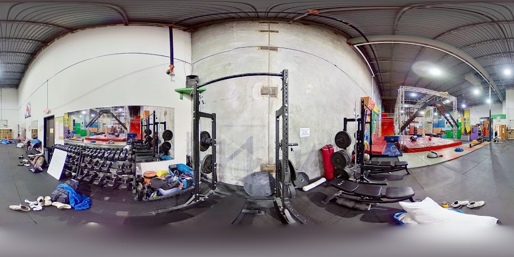  The Jungle Movement Academy