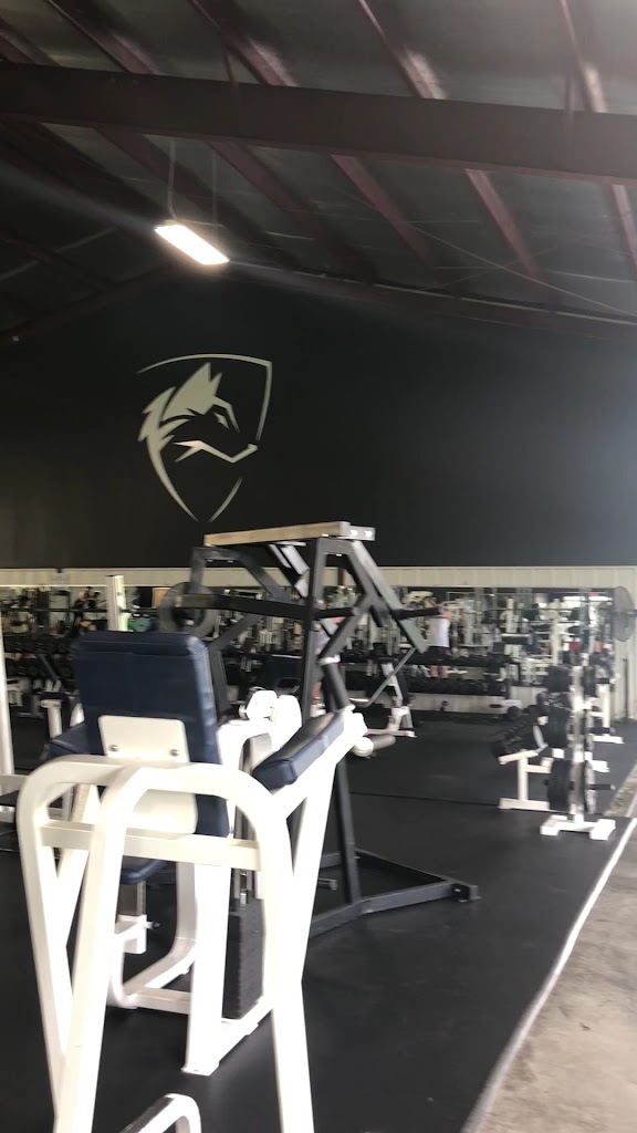  Alphalete Gym