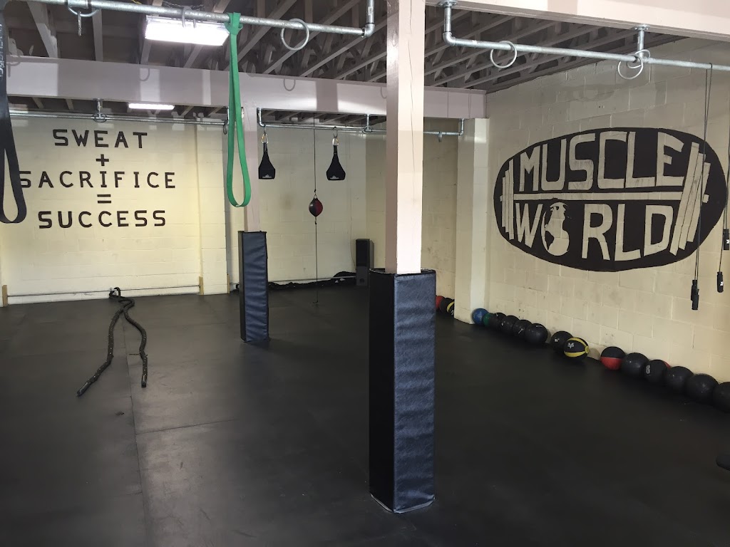  Muscle World Gym