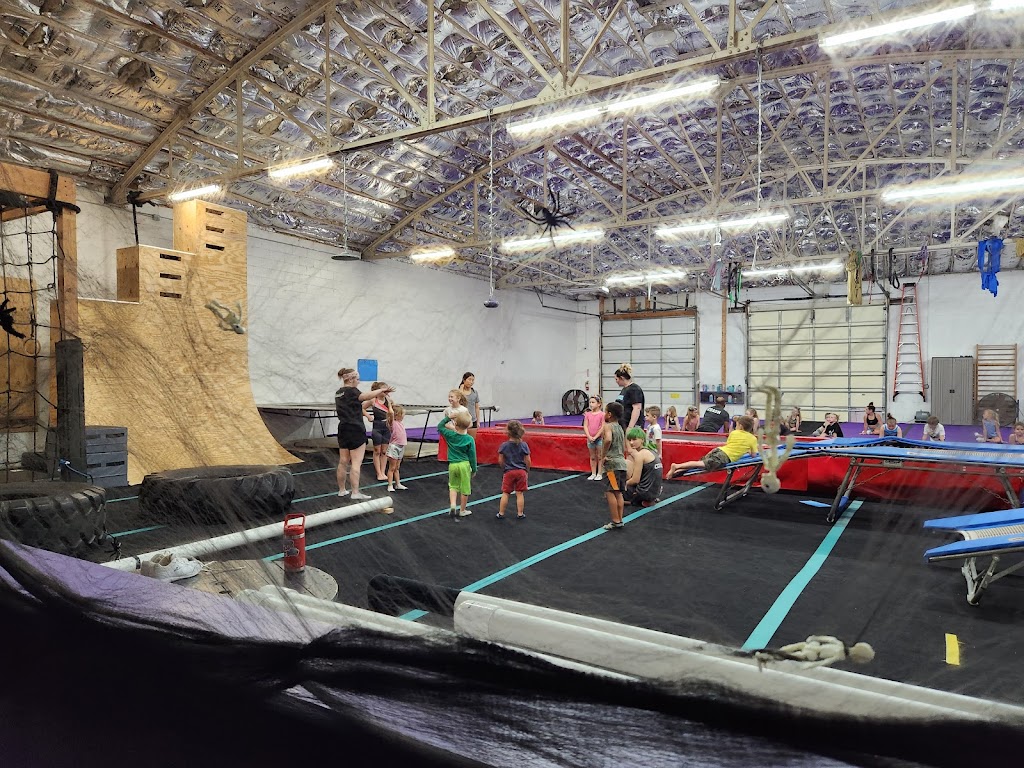  Paragon Performance Sports