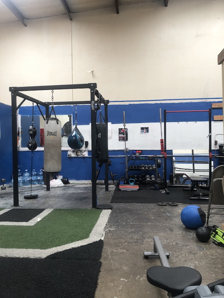  Loyaltyboxingfitness