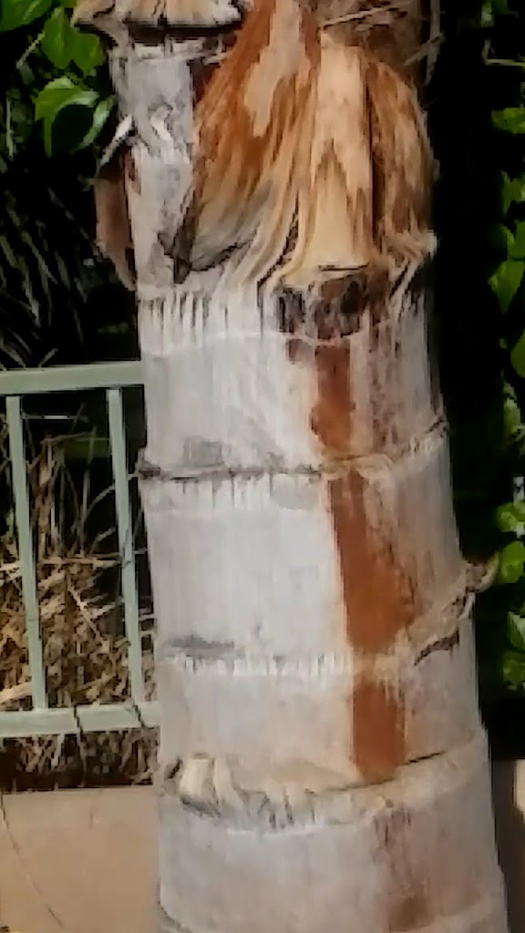  Golf at Indian Springs BR