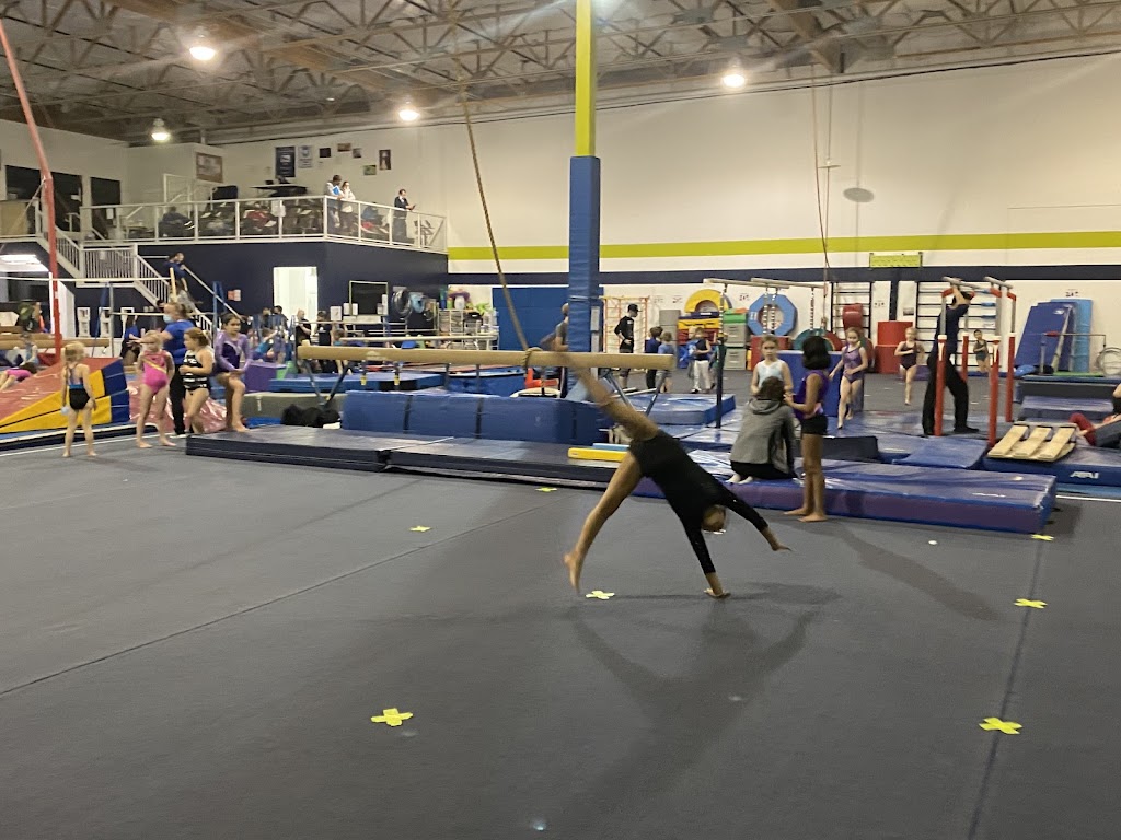  Alpha Gymnastics