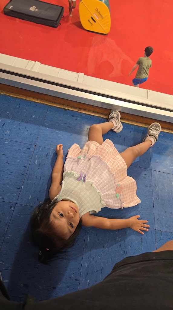  Gymcarolina Gymnastics Academy