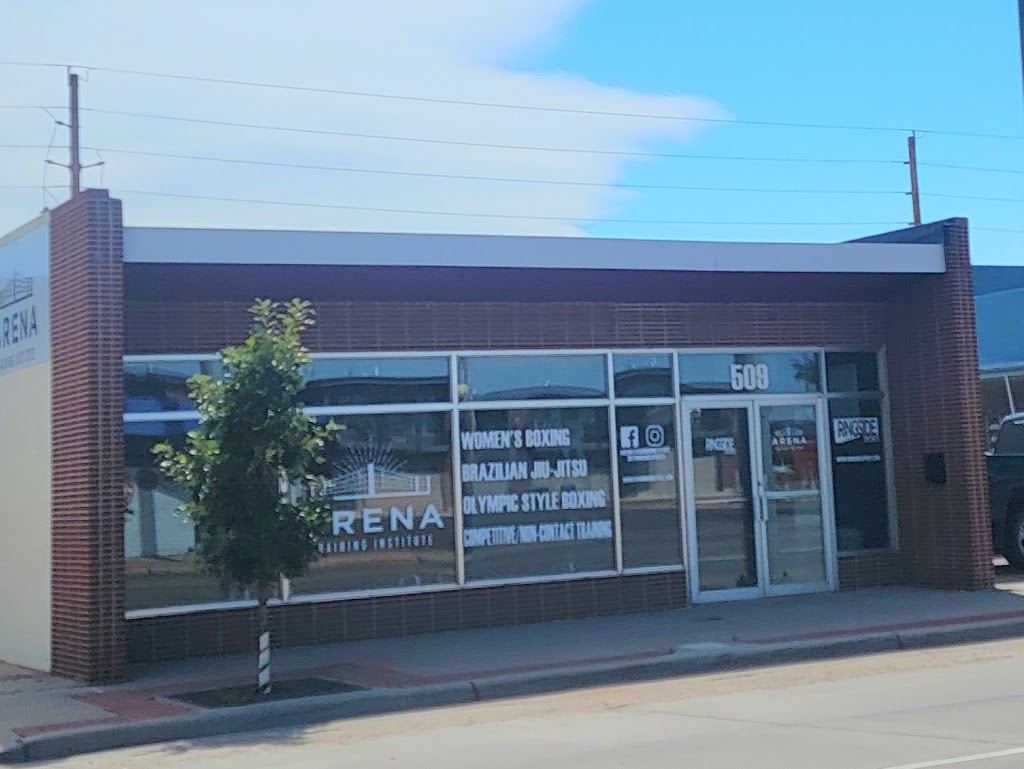  Arena Training Institute PINK GLOVES BOXING