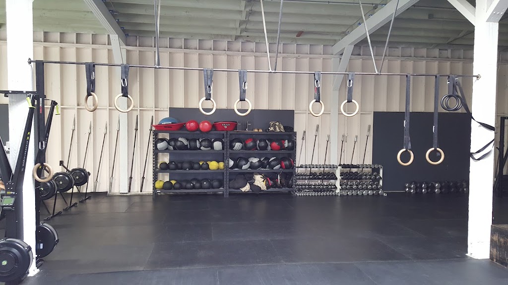  Cult Conditioning and Strength