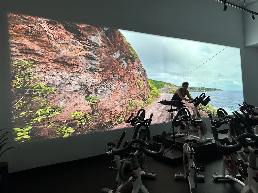  Spinergy Cardio Visual Experience