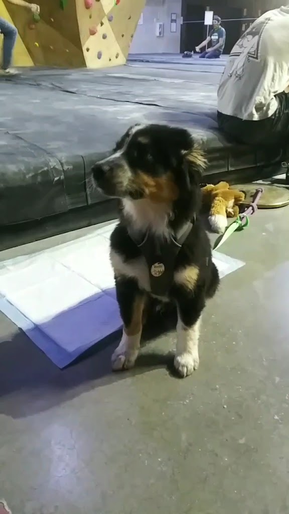  BaseCamp Climbing Gym