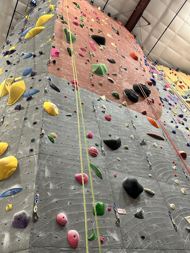  Vertical World North