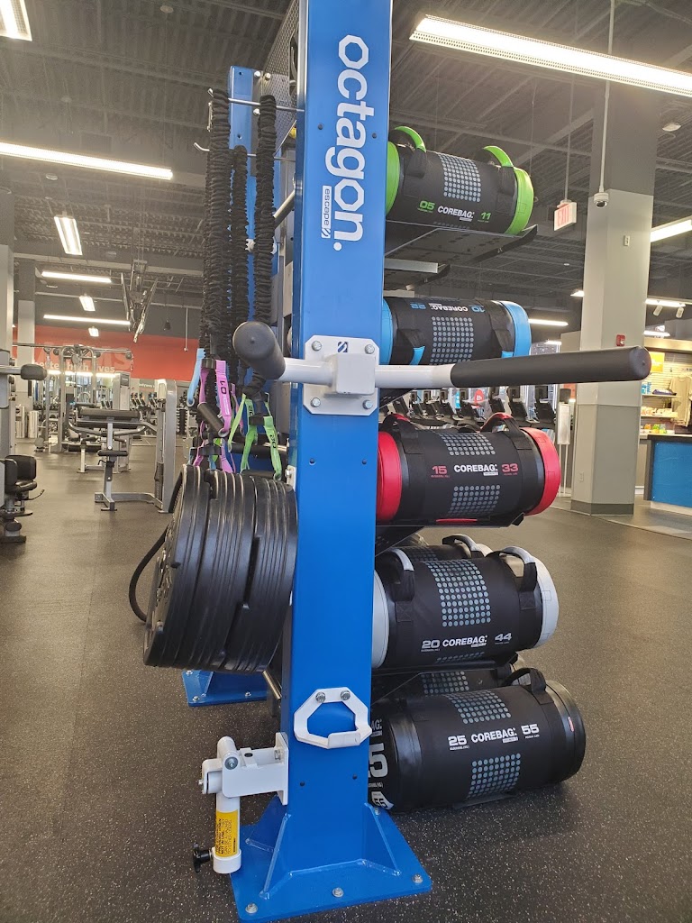  Blink Fitness (PureGym)