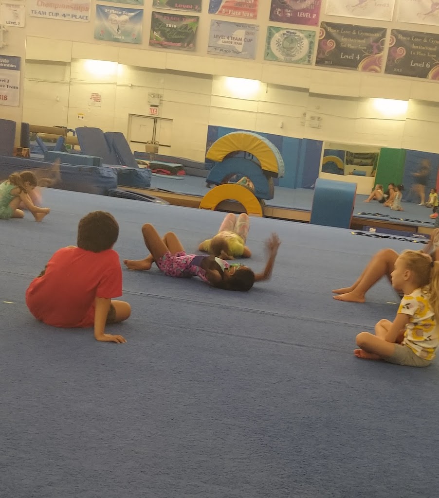  Lana's Gymnastics Club