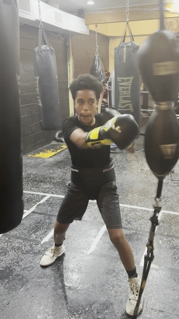  Magnificent Clay Boxing