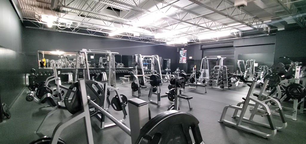  GYMBOX Tampa - (Previously Calta's 24/7 Fitness & BOXING)