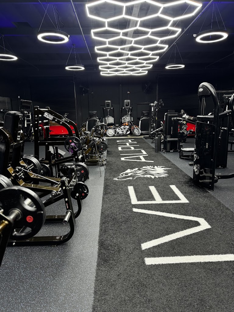  Gorilla Fitness Elite Training