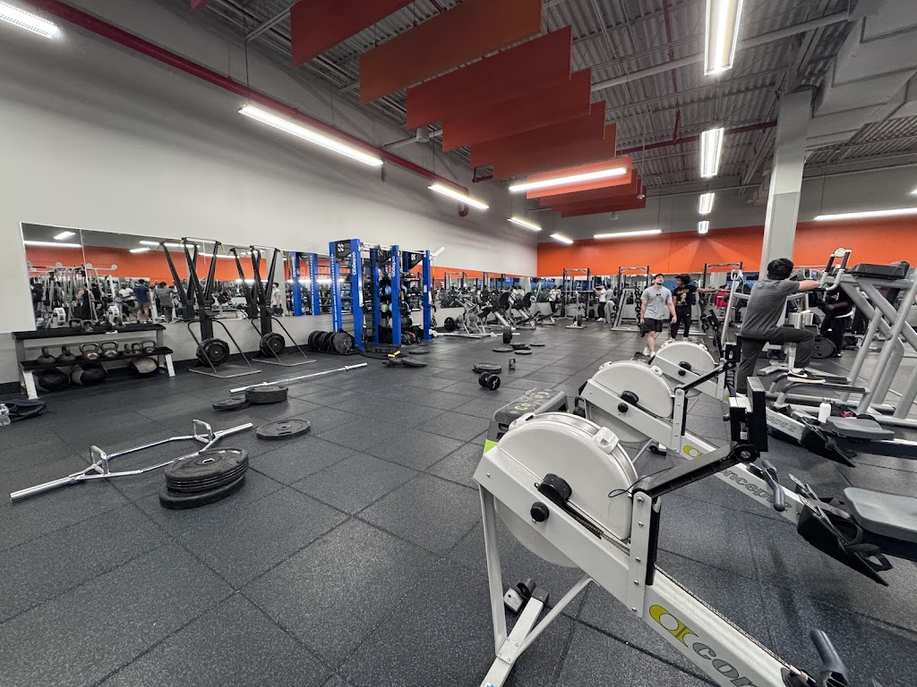  PureGym - Formerly Blink Fitness