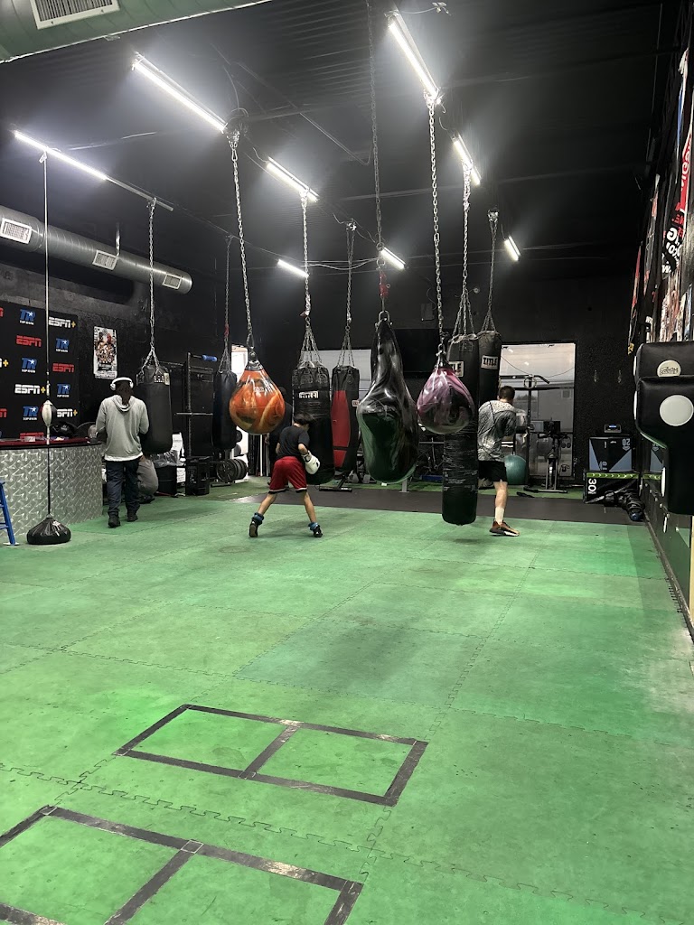  AlphaBox Boxing & Fitness