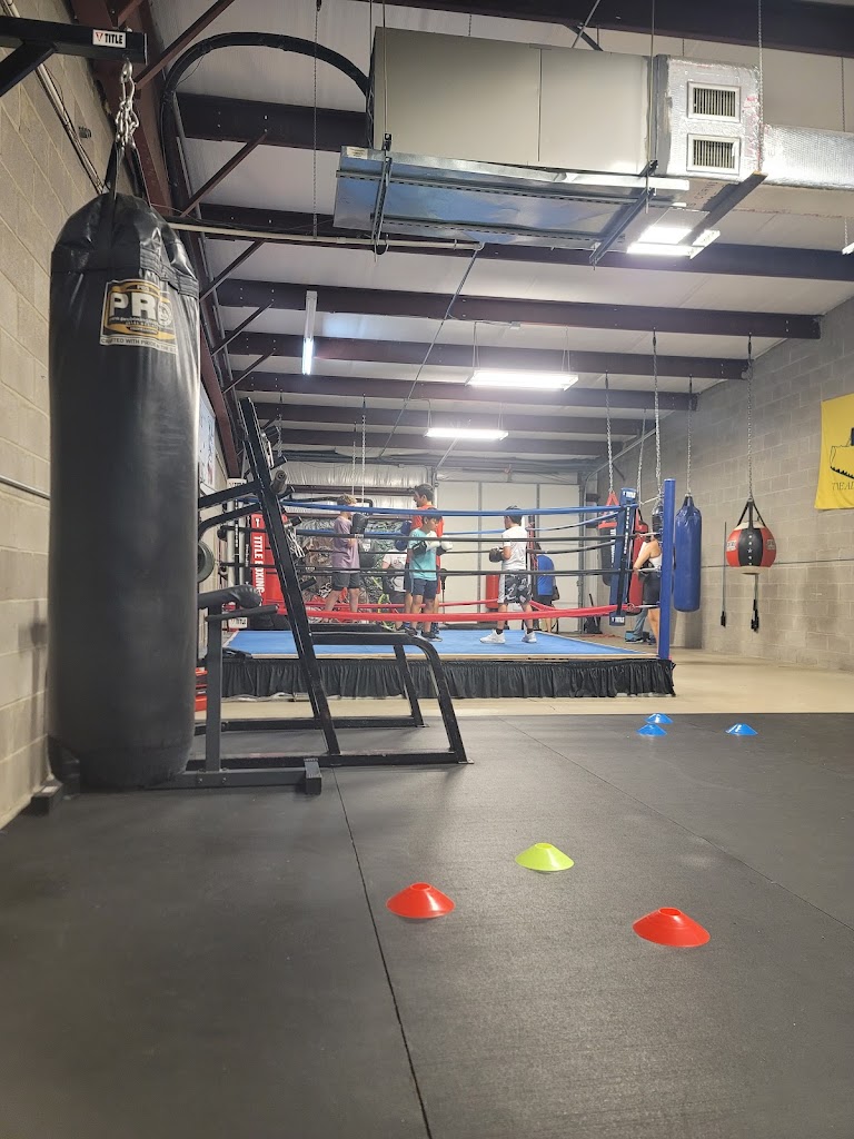  Let's Bocks Fitness and Boxing