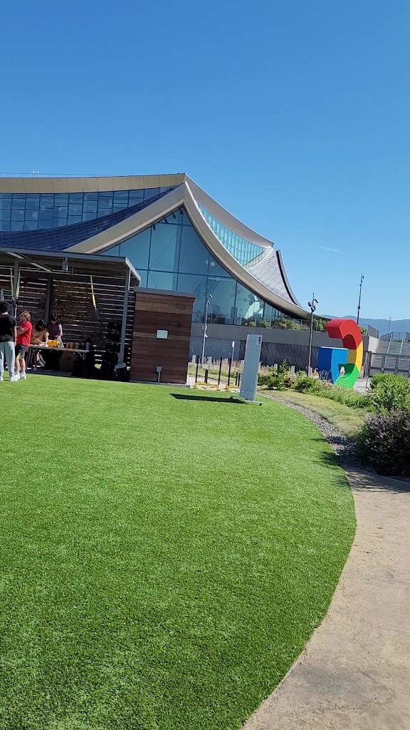  Google Bay View Turf Gym