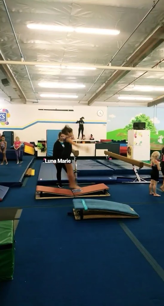  Tricks Sacramento Gymnastics