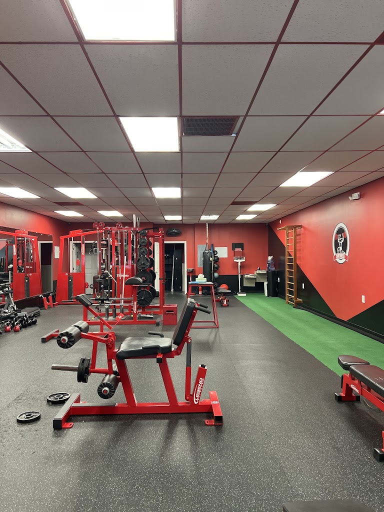  Svetness Fitness Studio