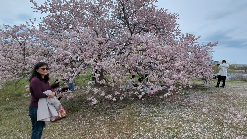  Esplanade Outdoor Gym