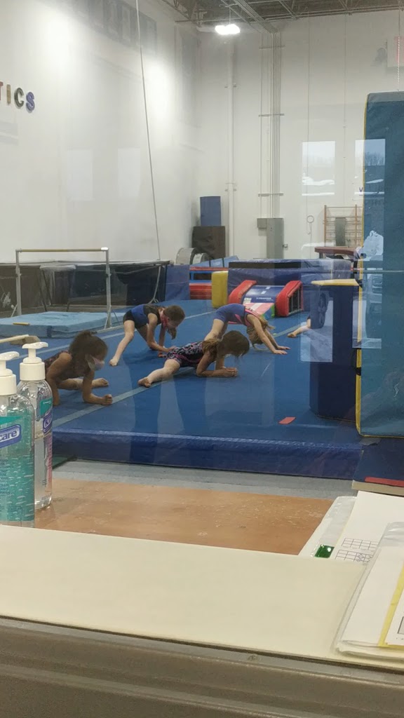 Dynamics Gymnastics