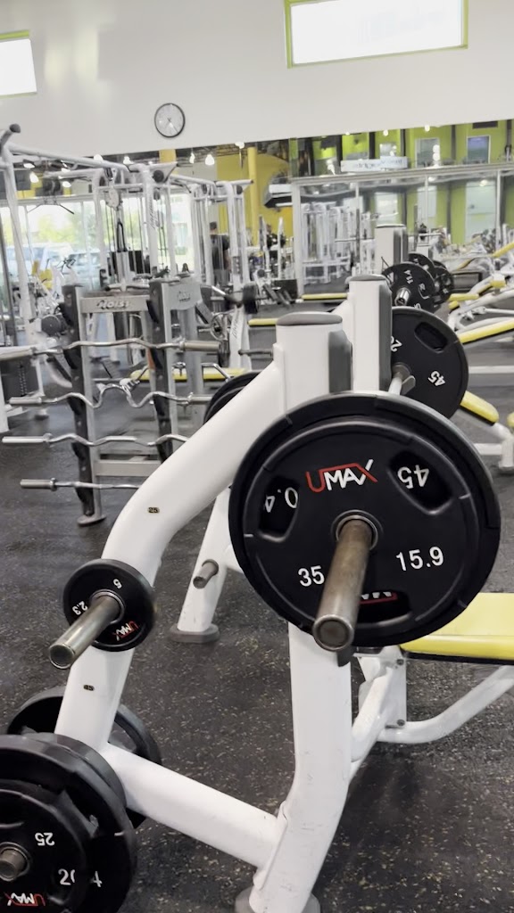  GB3 Palm- George Brown Sports Club