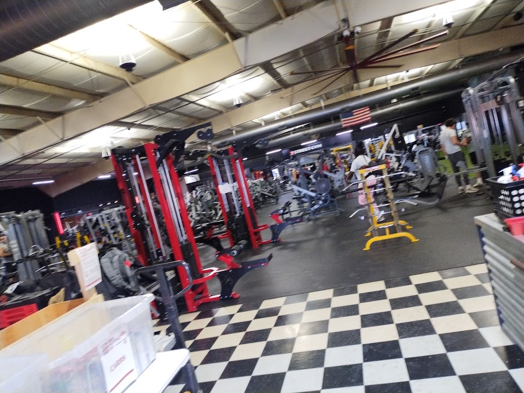  The J Street Gym