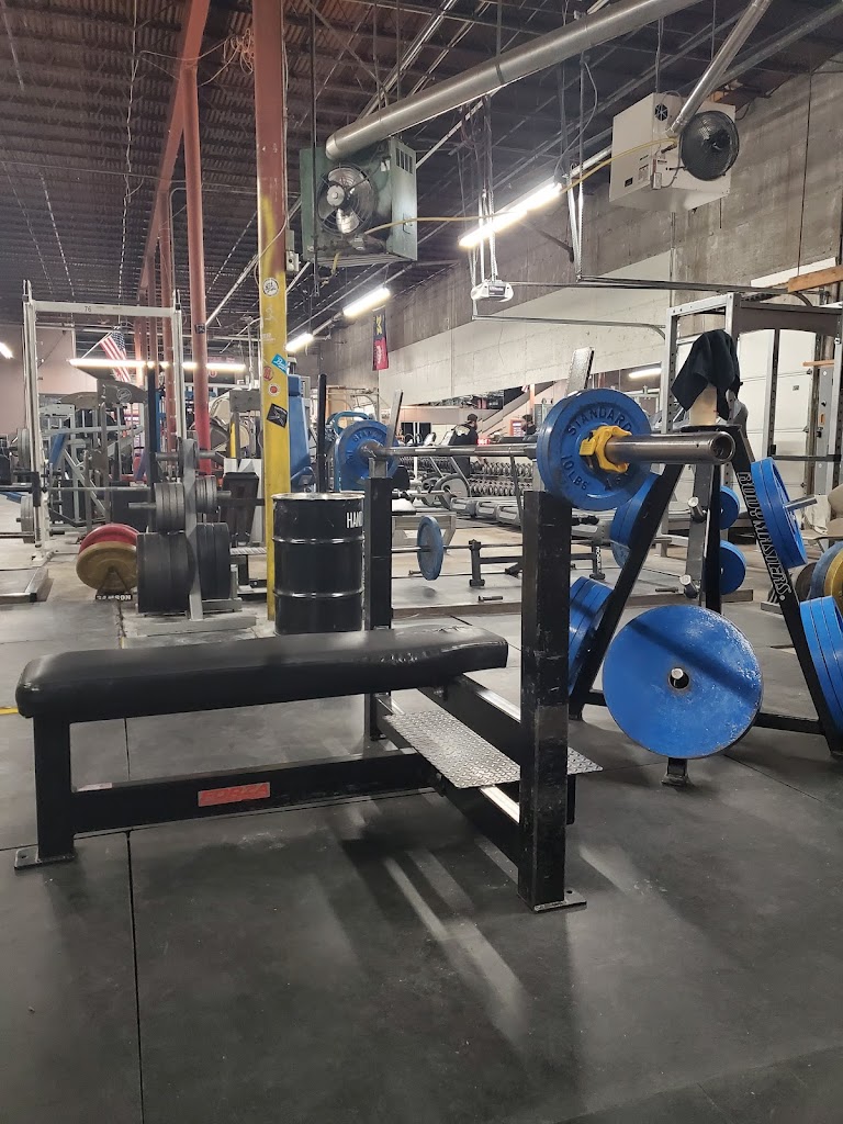  Absolute Power and Fitness