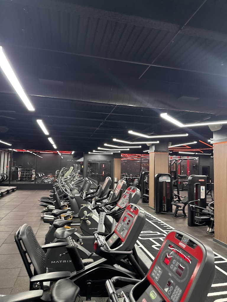  Icon Gym