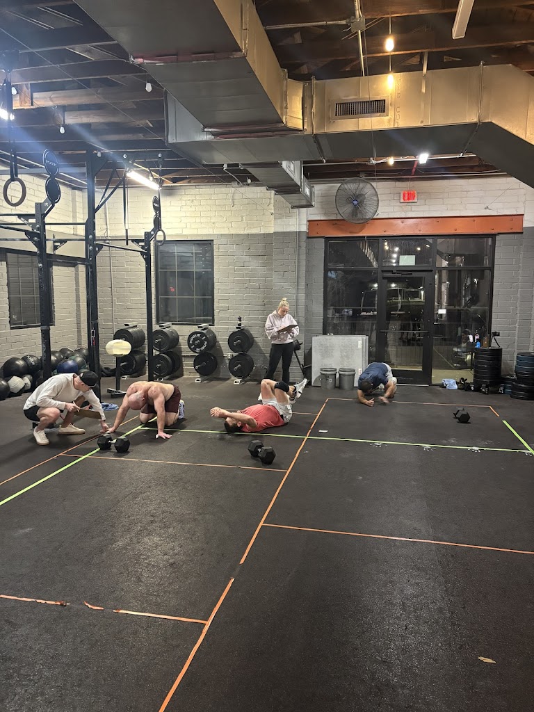  Iron Tribe Fitness - Southend