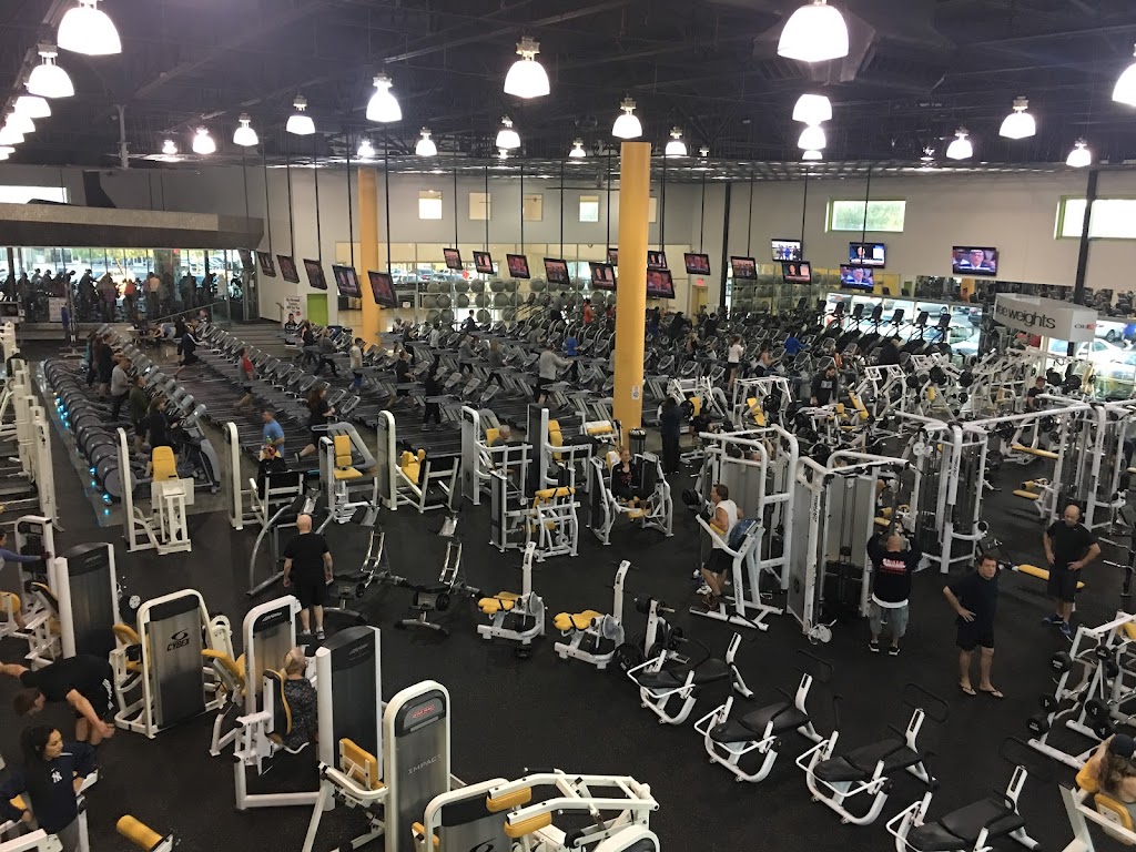  GB3 Palm- George Brown Sports Club