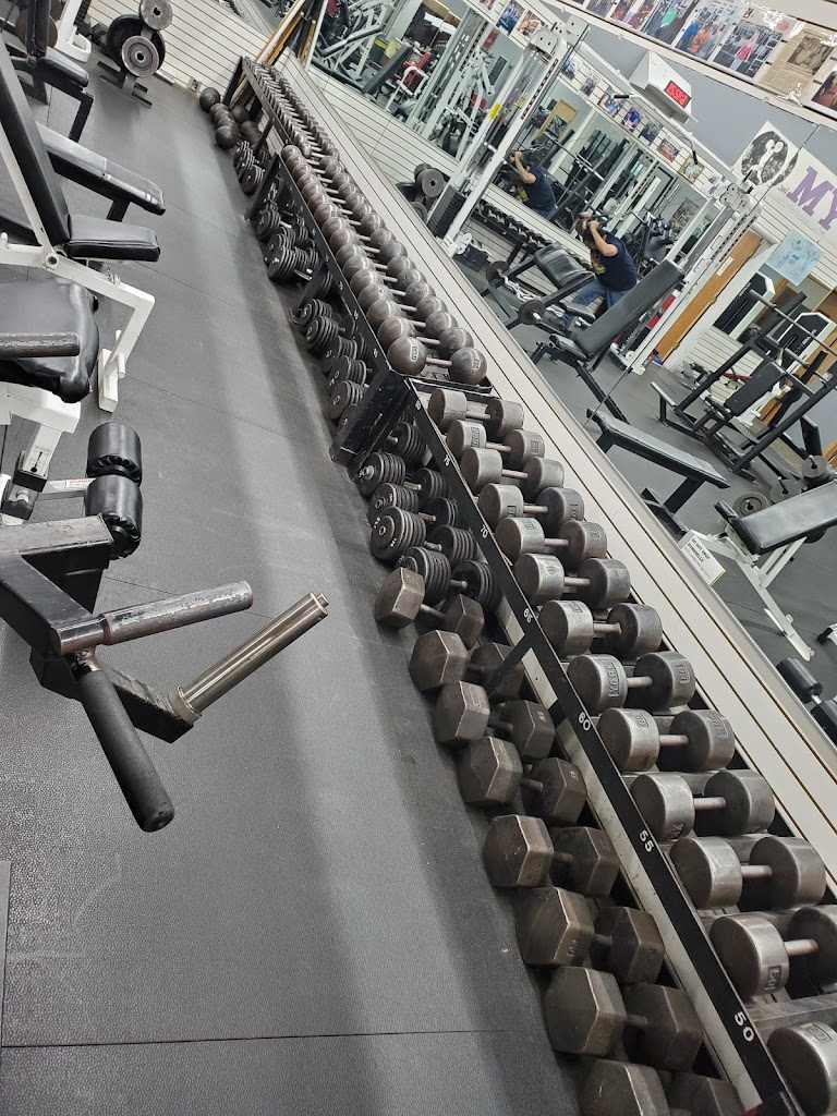  Ardizzone & Nalley gym