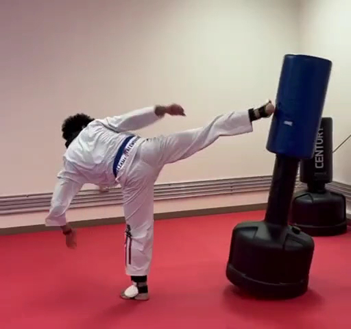  Williams Taekwondo