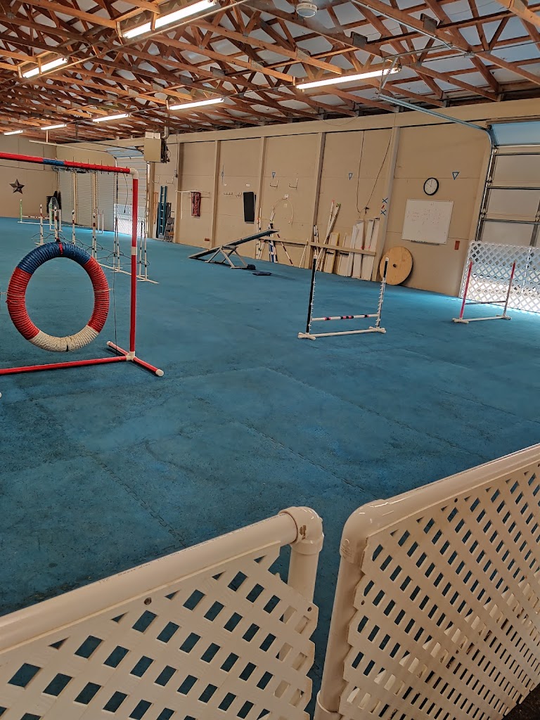  The Agility Gym