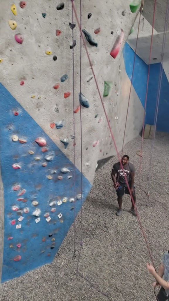  Vertical Hold Rock Climbing Gym