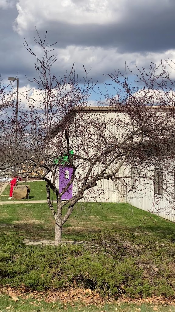  Rising Star Gymnastics Club