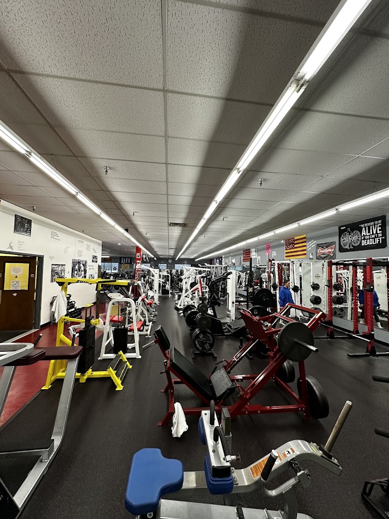  American Muscle & Fitness