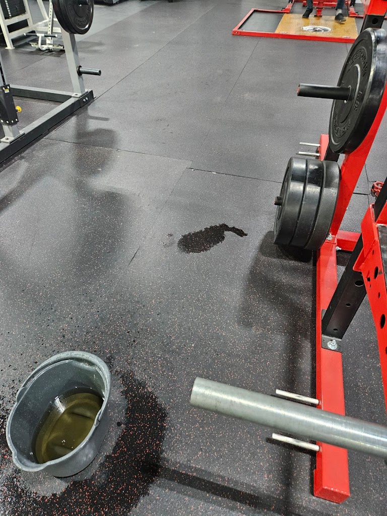  Alphalete Performance and Fitness