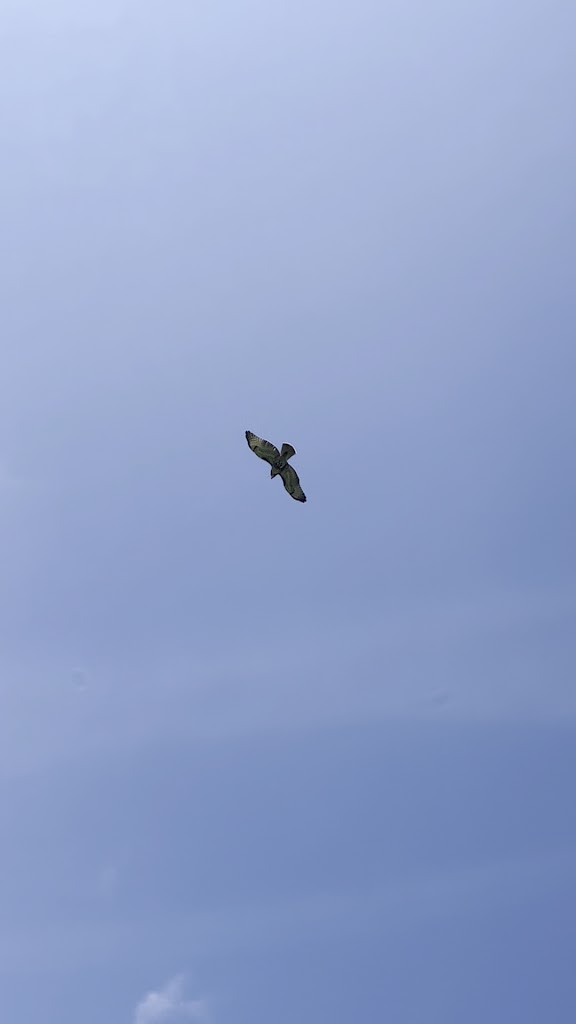  Reid Park Golf Course