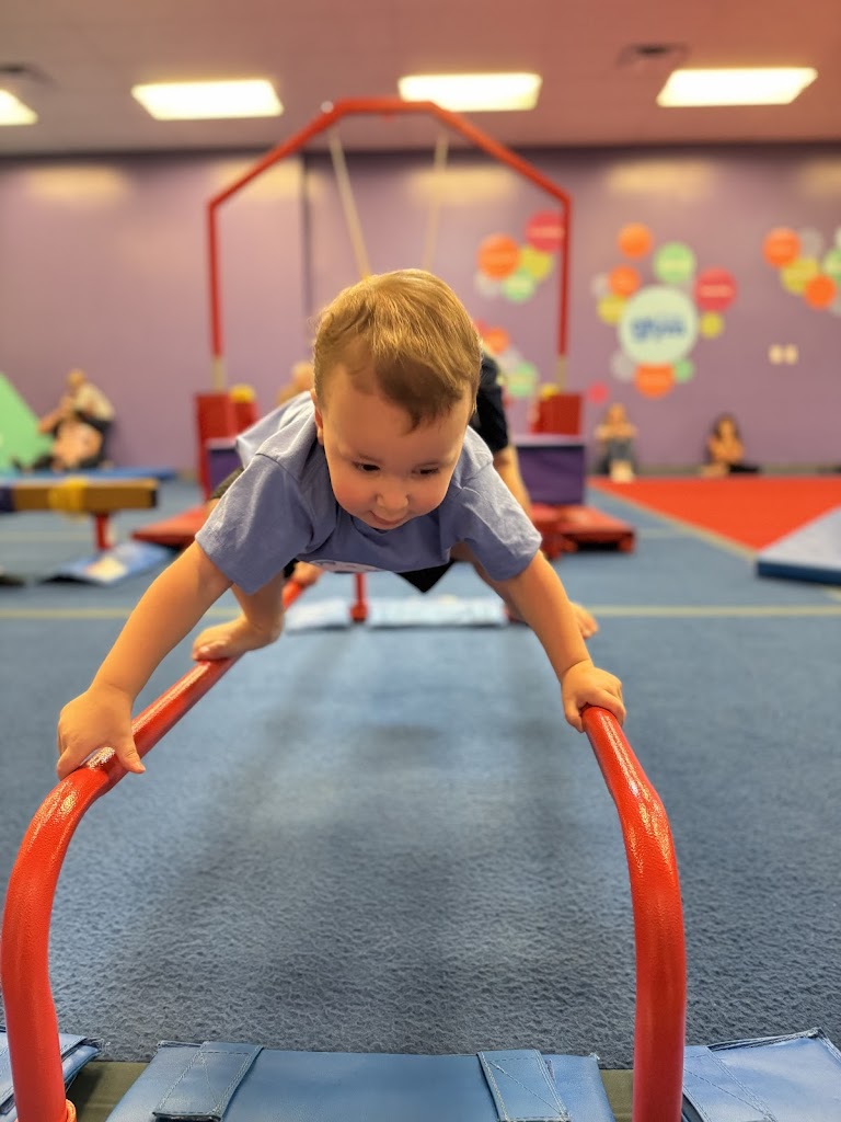  The Little Gym of Flower Mound, Texas