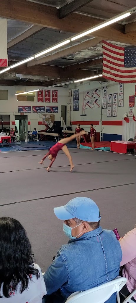  Twisters Gymnastics