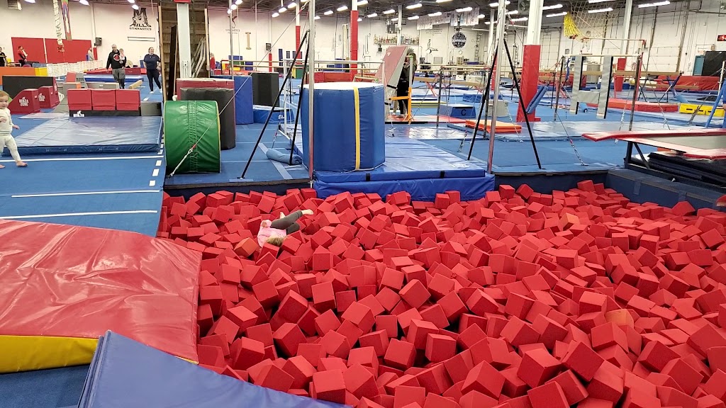  Mills Gymnastics USA